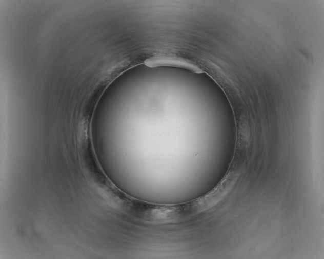 X0000110860172200906181149