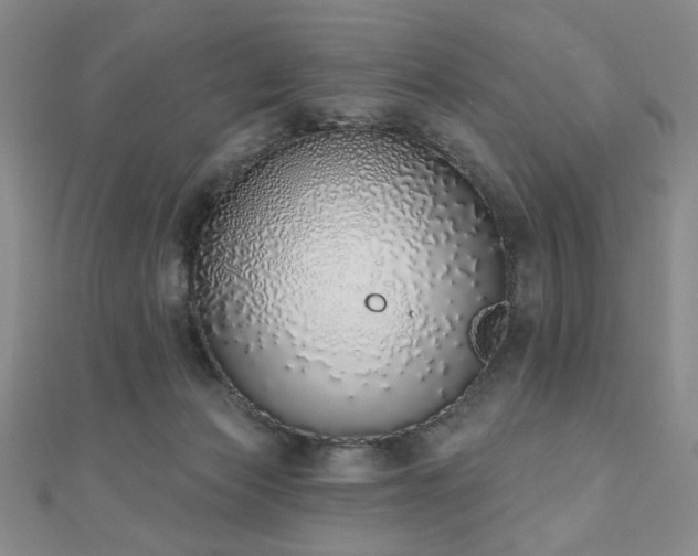 X0000110860173200906181149