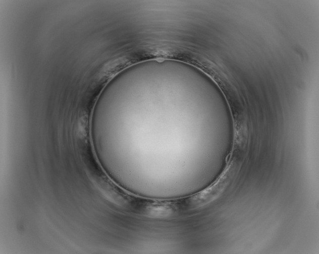 X0000110860175200906181149