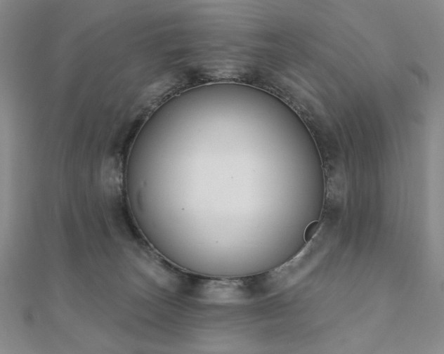 X0000110860179200906181149