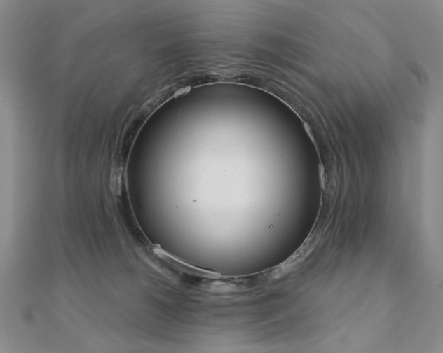 X0000110860180200906181149