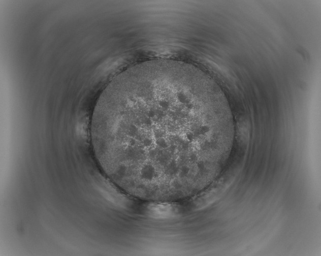 X0000110860181200906181149