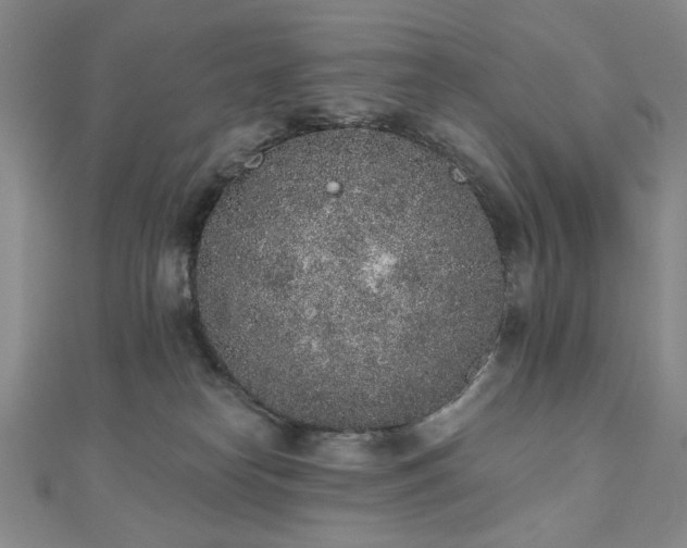 X0000110860182200906181149