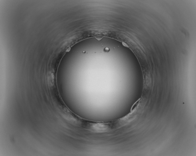 X0000110860183200906181149