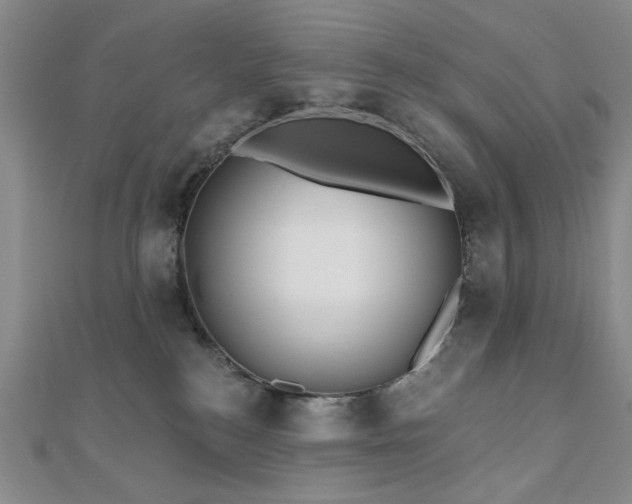 X0000110860184200906181149