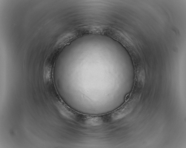 X0000110860185200906181149