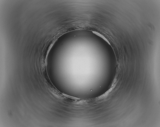 X0000110860186200906181149