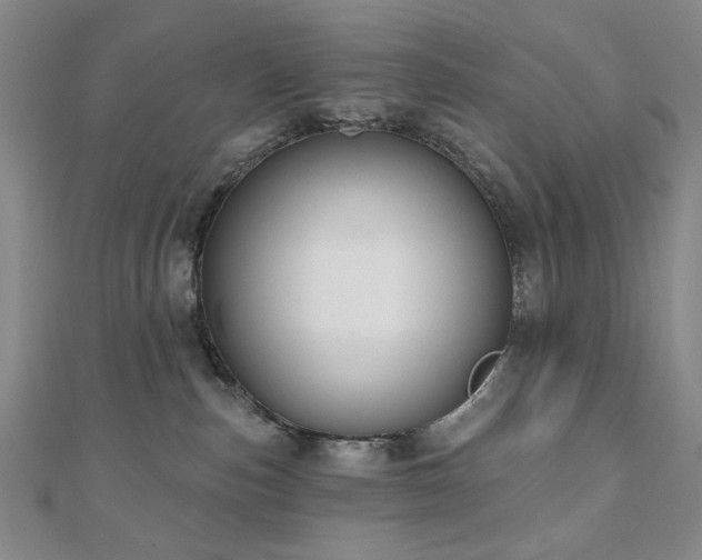 X0000110860187200906181149