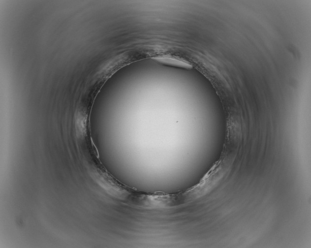 X0000110860188200906181149