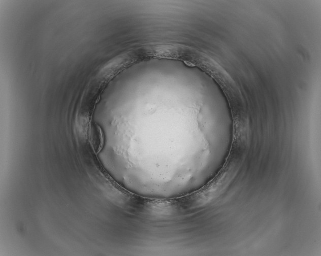 X0000110860189200906181149