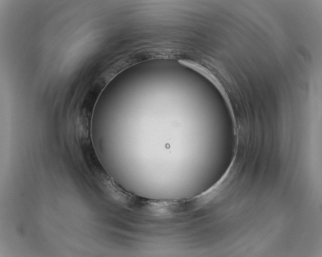 X0000110860190200906181149