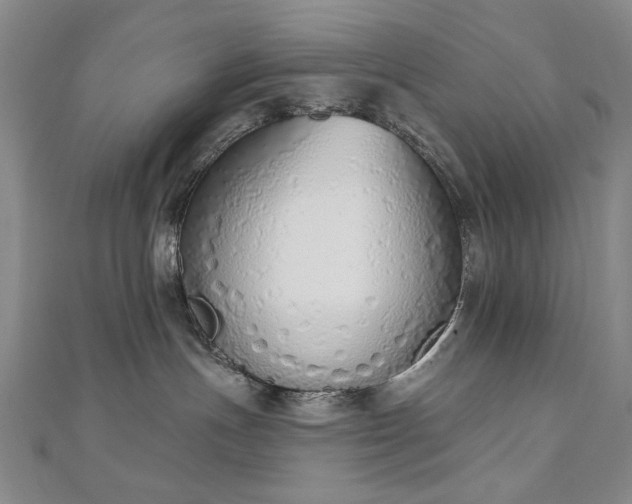 X0000110860191200906181149