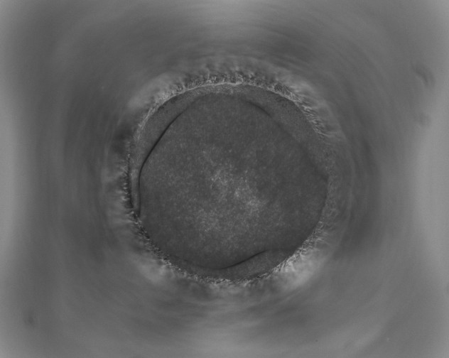 X0000110860192200906181149