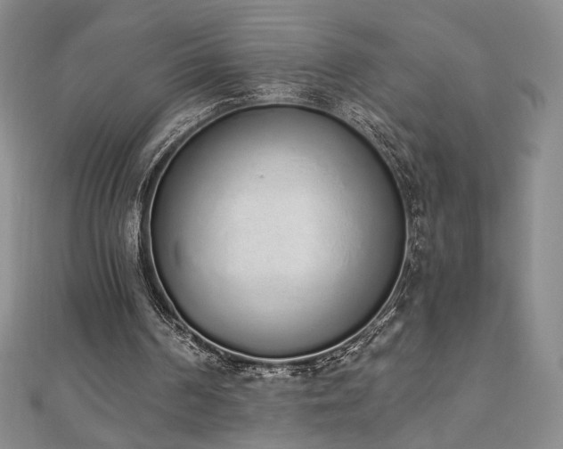 X0000110860194200906181148