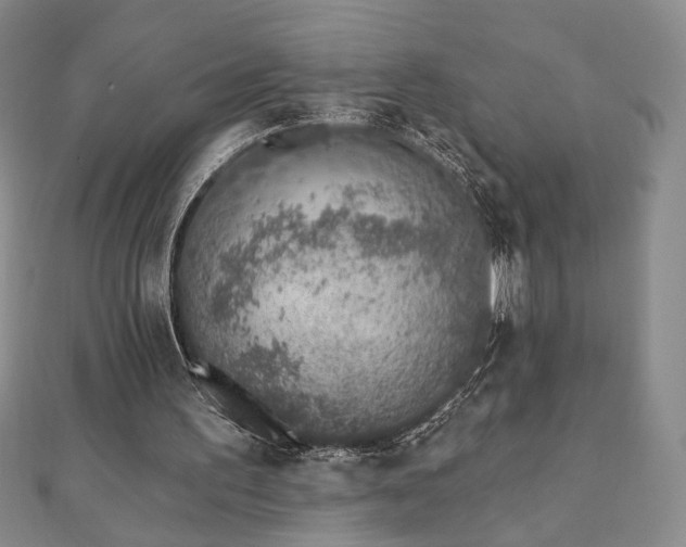 X0000110860195200906181148