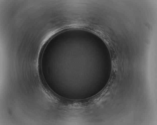 X0000110860196200906181148