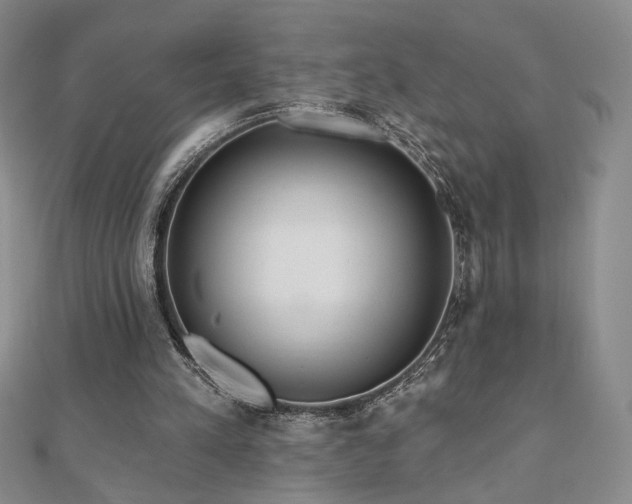 X0000110860197200906181148