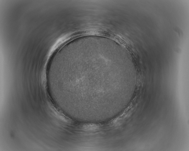 X0000110860198200906181148