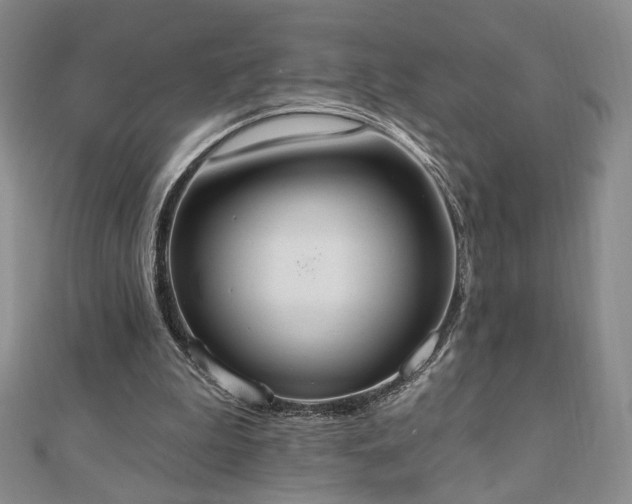 X0000110860199200906181148
