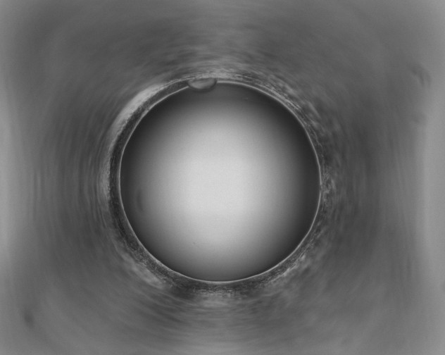 X0000110860200200906181148