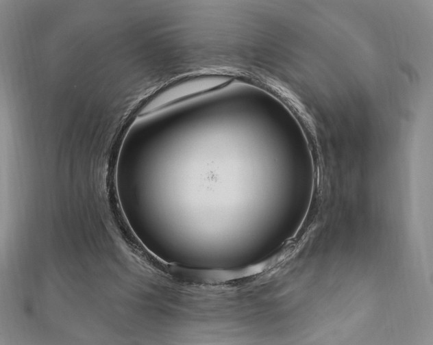 X0000110860201200906181148