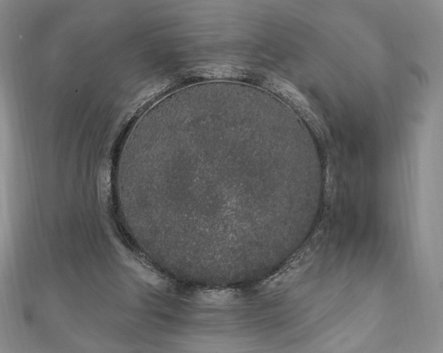 X0000110860202200906181148