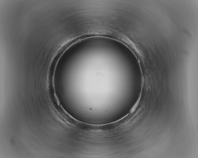 X0000110860203200906181148