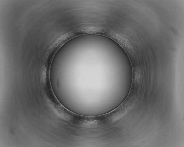 X0000110860206200906181148
