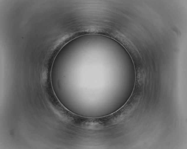 X0000110860208200906181148