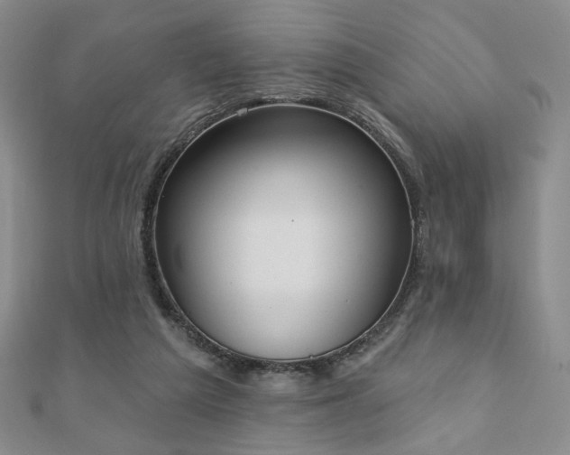 X0000110860209200906181148
