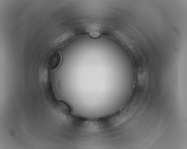 X0000110860211200906181148