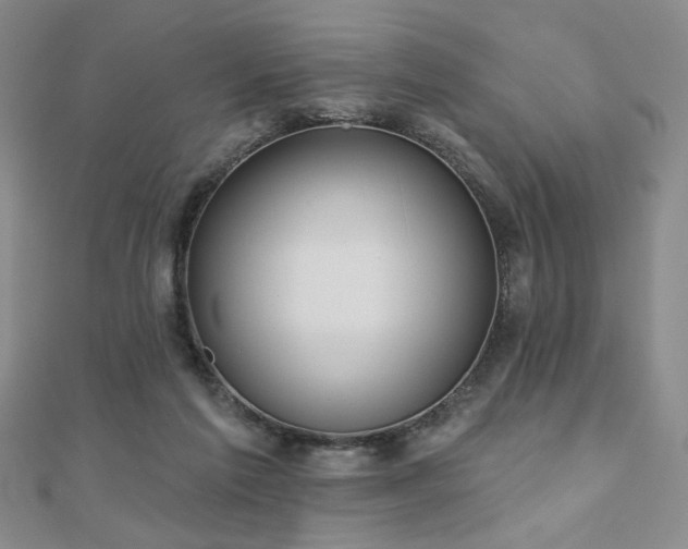 X0000110860213200906181148