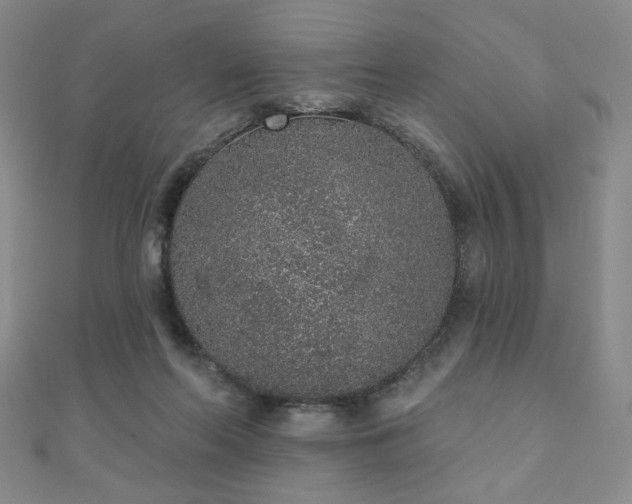 X0000110860214200906181148