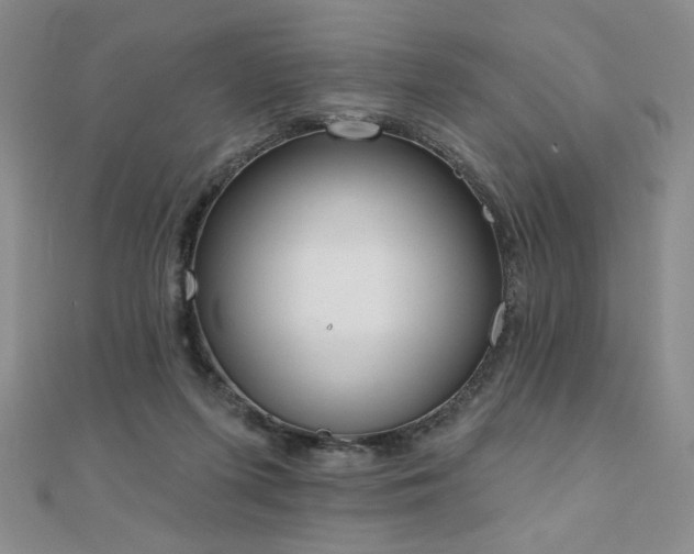 X0000110860215200906181148