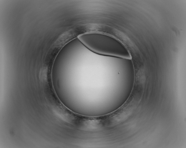 X0000110860217200906181148