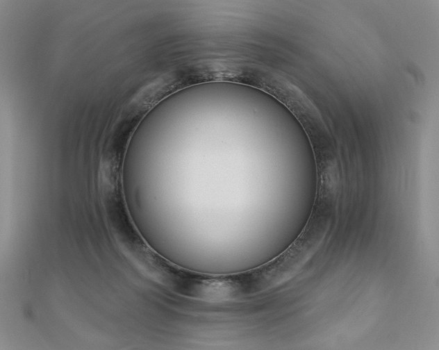 X0000110860218200906181148