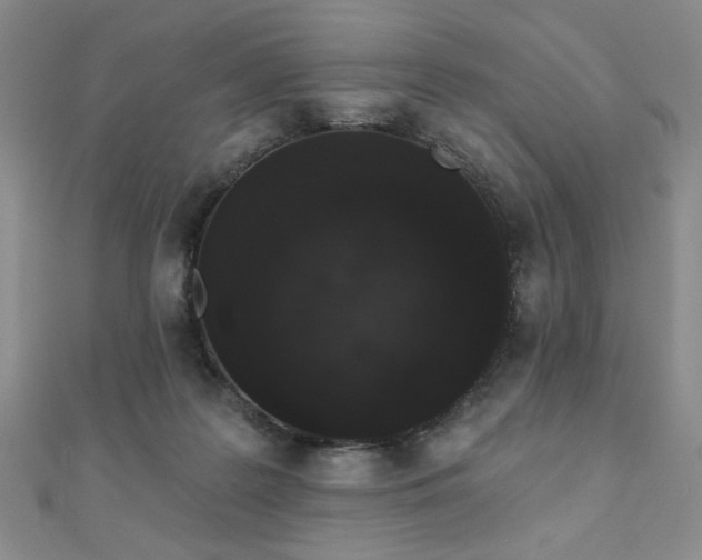 X0000110860219200906181148