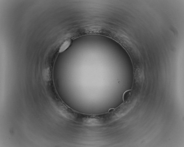 X0000110860224200906181148