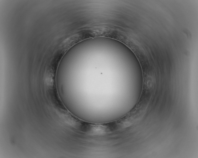 X0000110860226200906181148