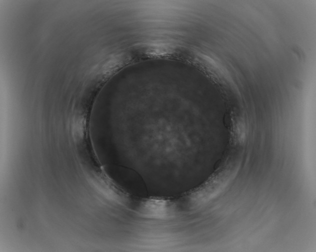 X0000110860227200906181148