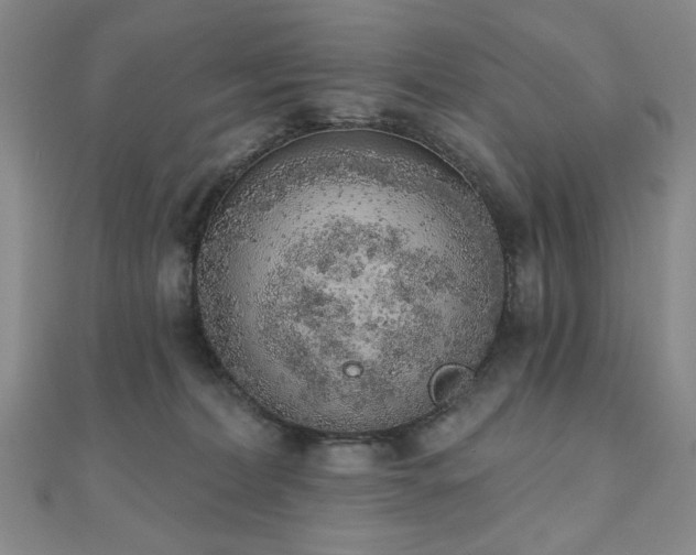 X0000110860228200906181148