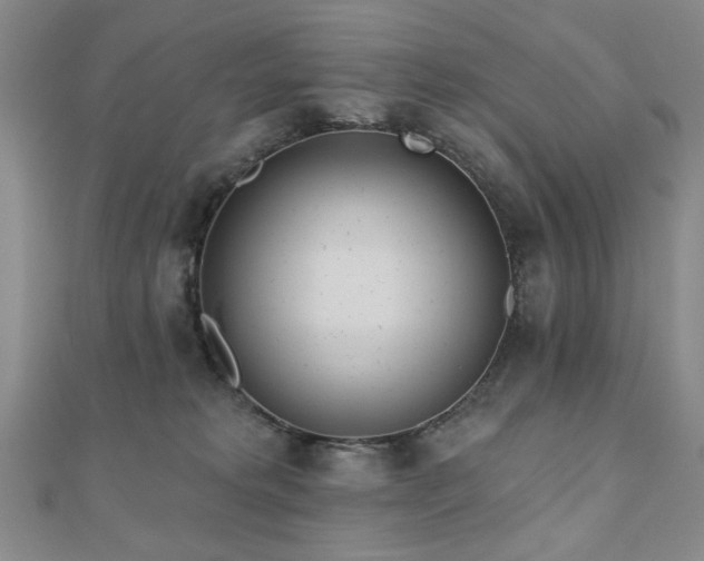 X0000110860229200906181148