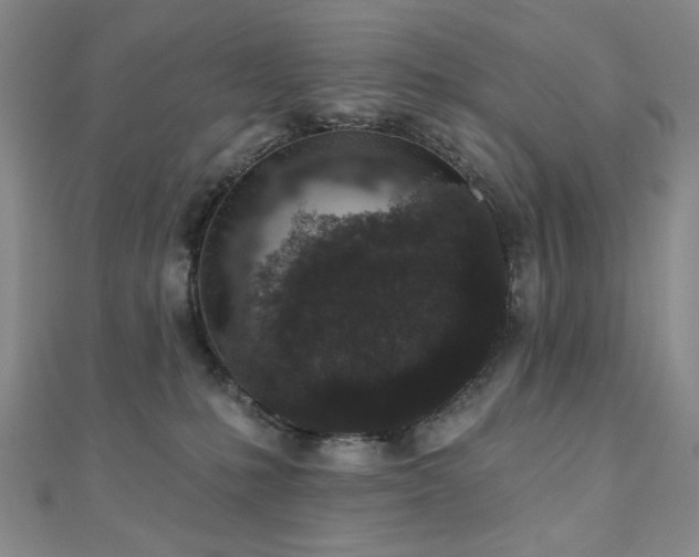 X0000110860231200906181148