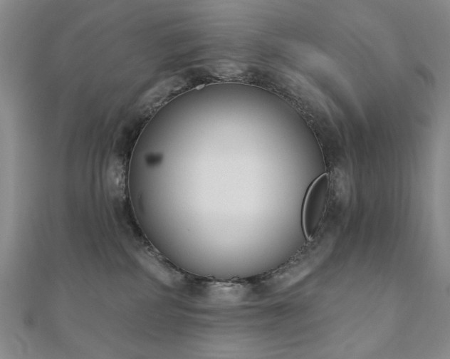 X0000110860234200906181148