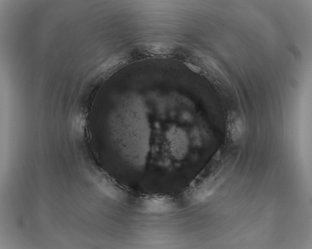 X0000110860235200906181148