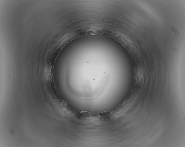 X0000110860236200906181148