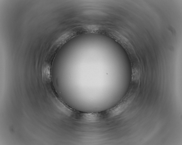 X0000110860238200906181148