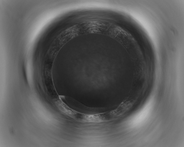 X0000110860239200906181148