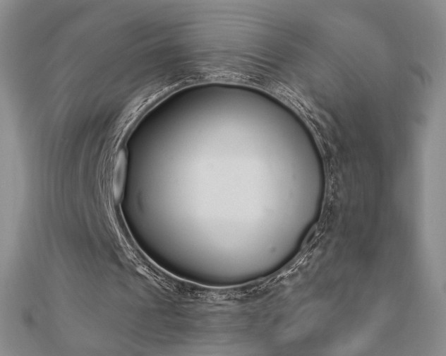 X0000110860241200906181147