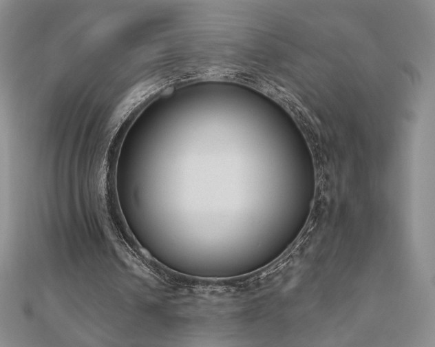 X0000110860242200906181147